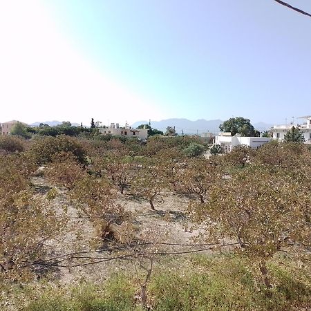 Miranta Hotel - Apartments & Studios Aegina 외부 사진