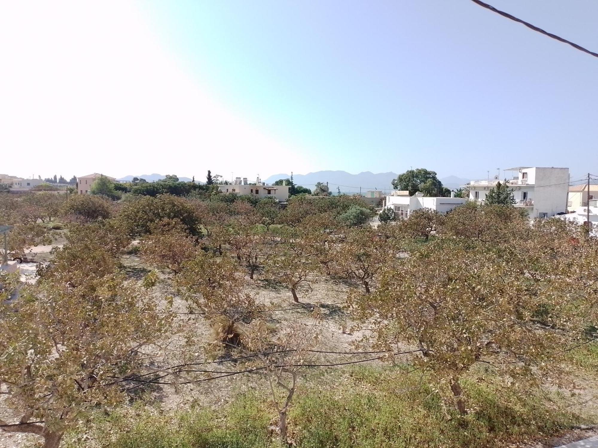 Miranta Hotel - Apartments & Studios Aegina 외부 사진